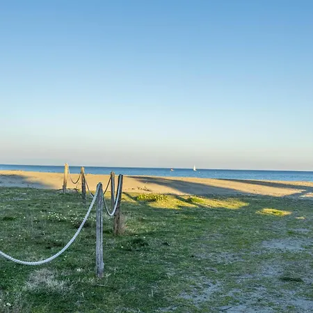 Zinola - Deluxe - Grandmaison